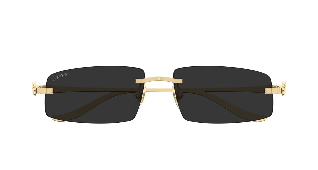 CARTIER CT0505S 001 58 SUNGLASSES