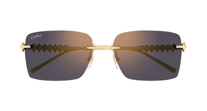 CARTIER CT0545S 003 58 SUNGLASSES