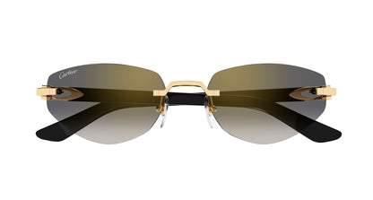 CARTIER CT0580S 001 56 SUNGLASSES
