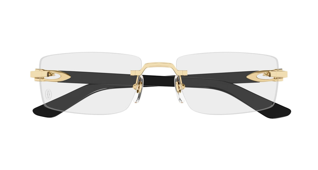 CARTIER CT0581O 001 56 FRAME