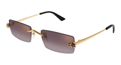 CARTIER CT0598S 005 55 SUNGLASSES