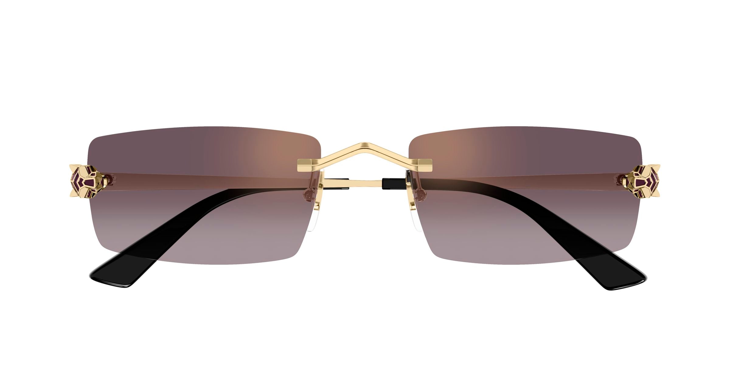 CARTIER CT0598S 005 55 SUNGLASSES