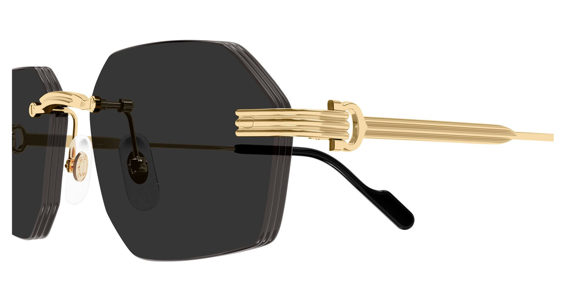 CARTIER CT0616S 001 54 SUNGLASSES