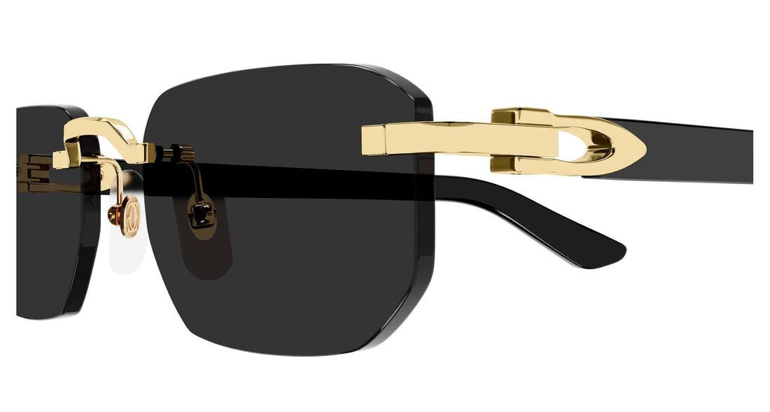 CARTIER CT0622S 001 53 SUNGLASSES