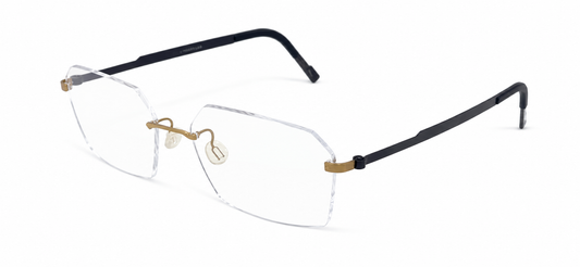 LINDBERG STRIP 3P TEMPLE PLATE T425 U14 53 FRAME