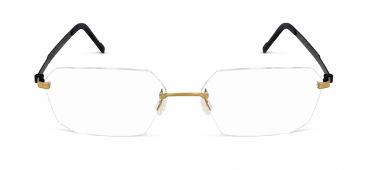 LINDBERG STRIP 3P TEMPLE PLATE T425 U14 53 FRAME