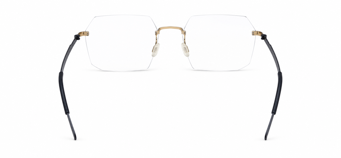 LINDBERG STRIP 3P TEMPLE PLATE T425 U14 53 FRAME