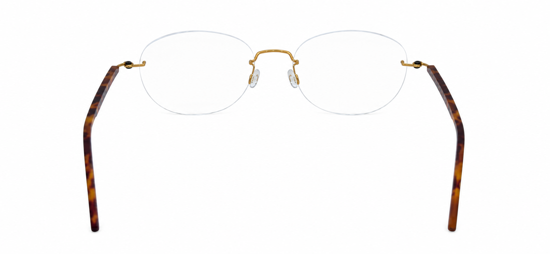 LINDBERG 2586 T518 SPIRIT K25 PGT 52 FRAME