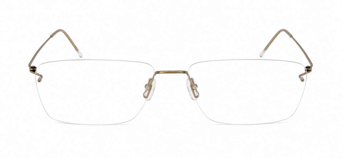LINDBERG 2569 BASIC 145 SPIRIT PGT 54 FRAME