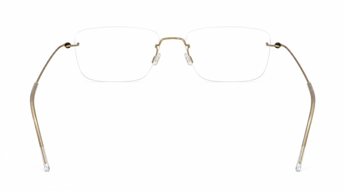 LINDBERG 2569 BASIC 145 SPIRIT PGT 54 FRAME