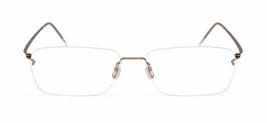 LINDBERG 2539 T618 SPIRIT PGT 53 FRAME