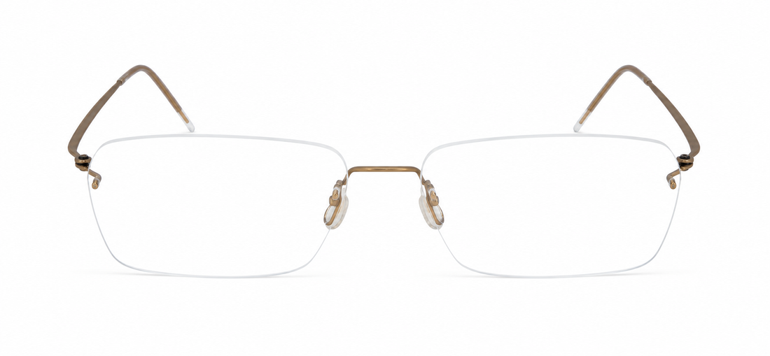 LINDBERG 2539 T618 SPIRIT PGT 53 FRAME