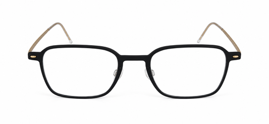 LINDBERG 6666 N.O.W. D16 PGT 48 FRAME