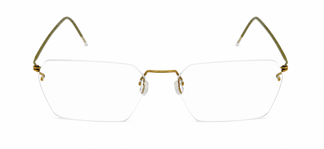 LINDBERG 2548 T615 SPIRIT P60 55 FRAME