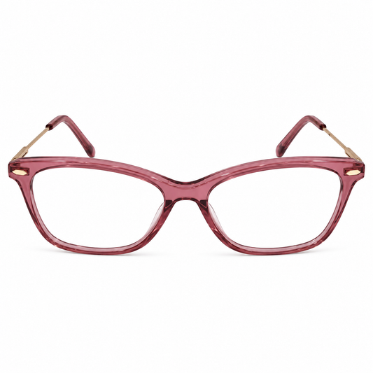 DAVID JONES DJ0522 C5 53 FRAME
