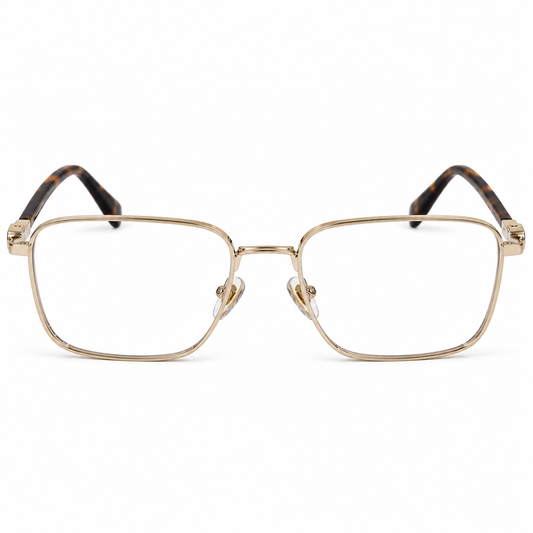DAVID JONES DJ0669 C1 54 FRAME
