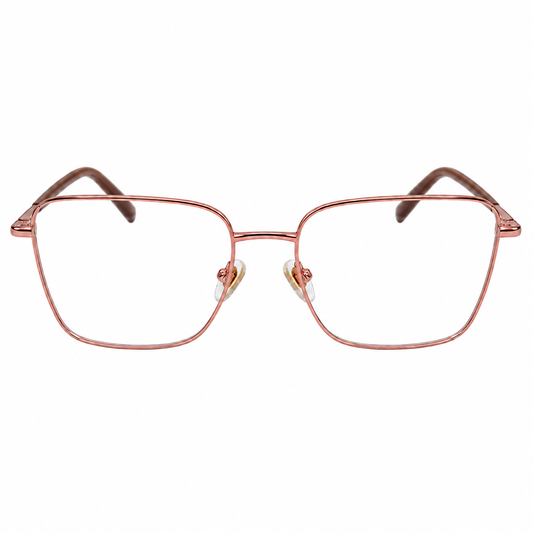 DAVID JONES DJ0619 C4 55 FRAME