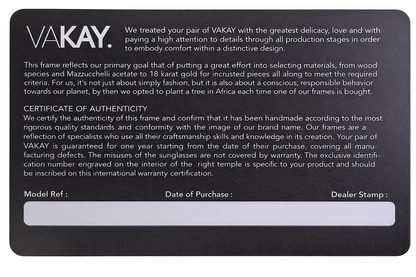 VAKAY LEZO LIMITED SERIES V11 54 FRAME