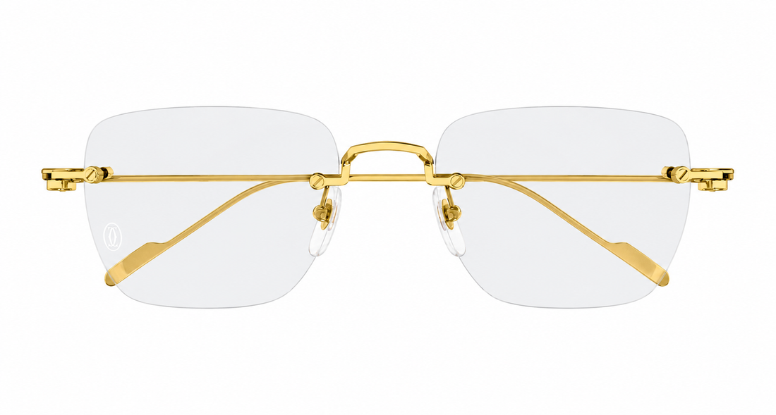 CARTIER CT0379O 002 54 FRAME