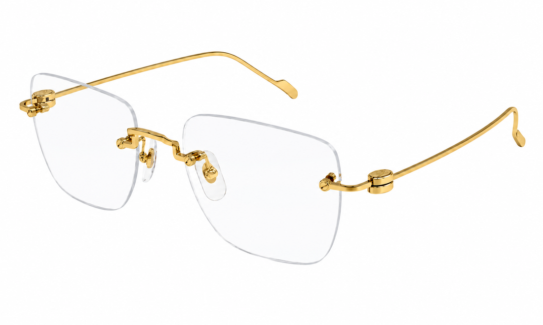 CARTIER CT0379O 002 54 FRAME
