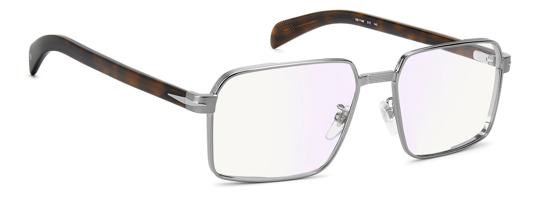 DAVID BECKHAM DB7166 31Z 57 FRAME