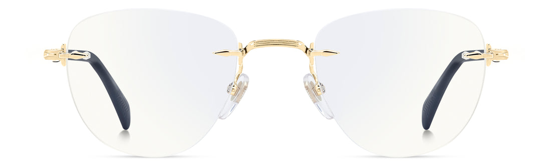DAVID BECKHAM DB1243 RHL 49 FRAME