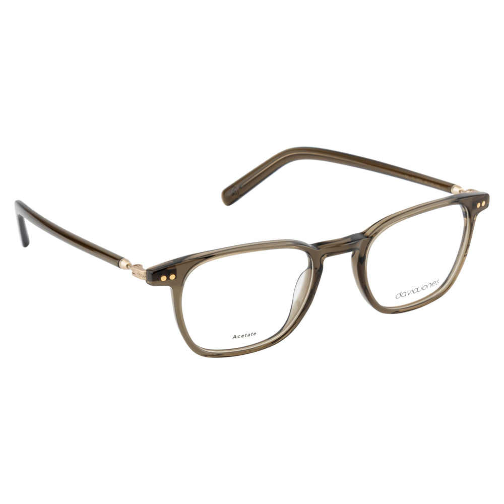 DAVID JONES DJ0521 C4 48 FRAME