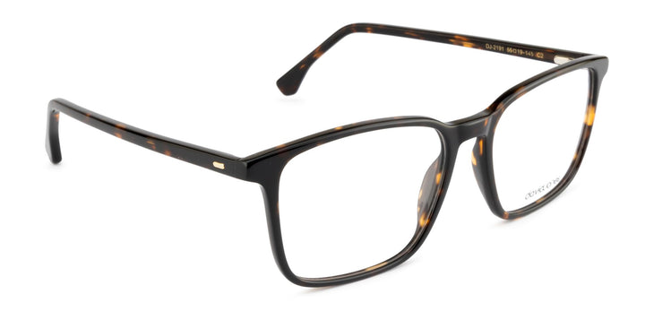 DAVID JONES DJ2191 C2 53 FRAME