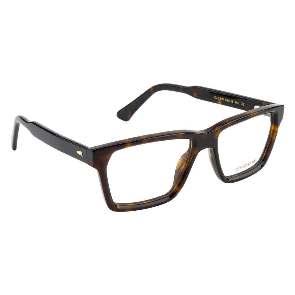 DAVID JONES DJ2319 C2 53 FRAME