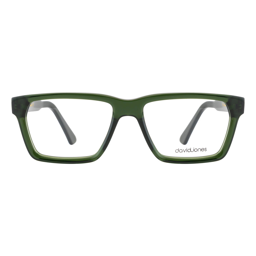 DAVID JONES DJ2319 C6 53 FRAME