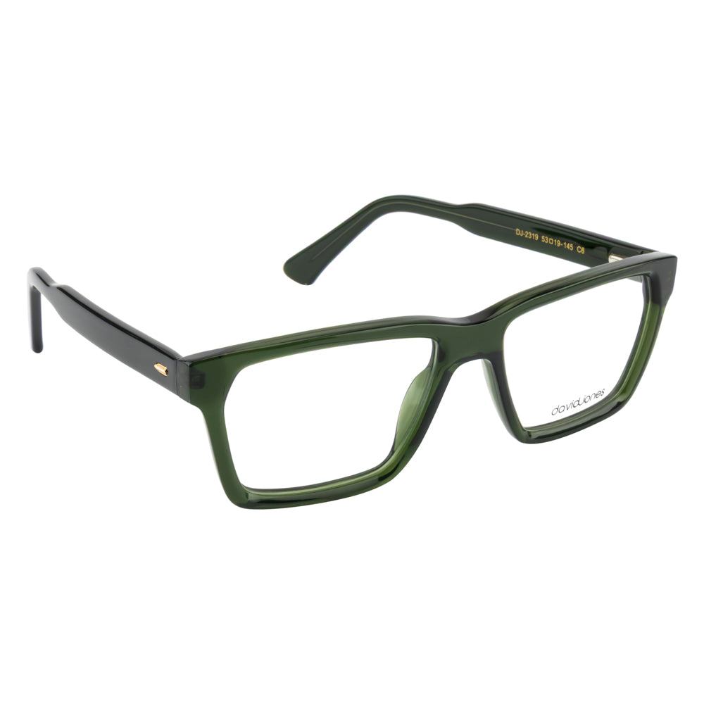 DAVID JONES DJ2319 C6 53 FRAME