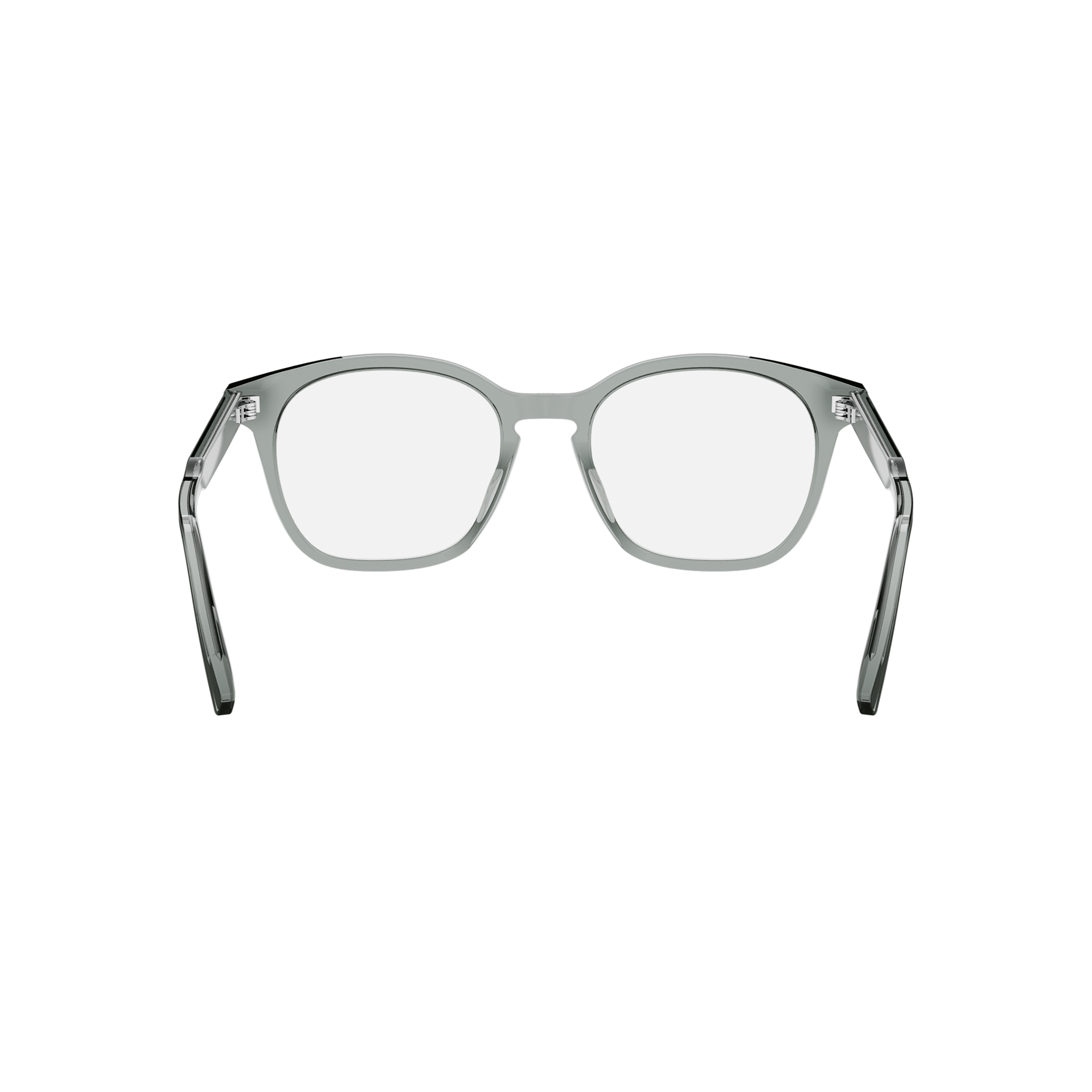 DIOR DIORBOTANICAO S5I DM50117I 4800 52 FRAME