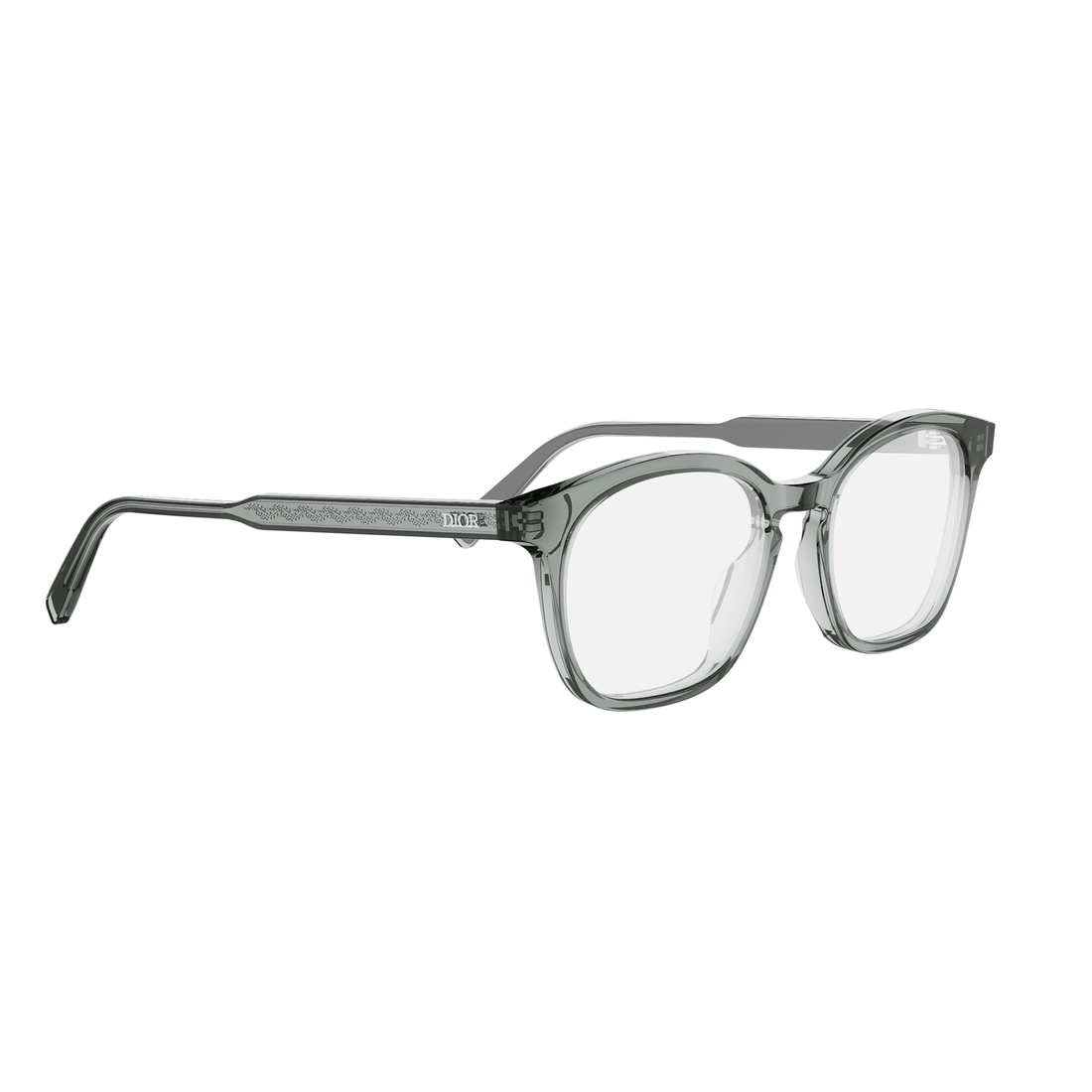 DIOR DIORBOTANICAO S5I DM50117I 4800 52 FRAME