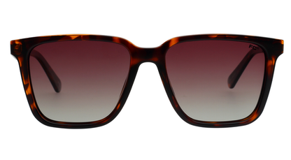 FCUK FC7661PL C2 54 SUNGLASSES