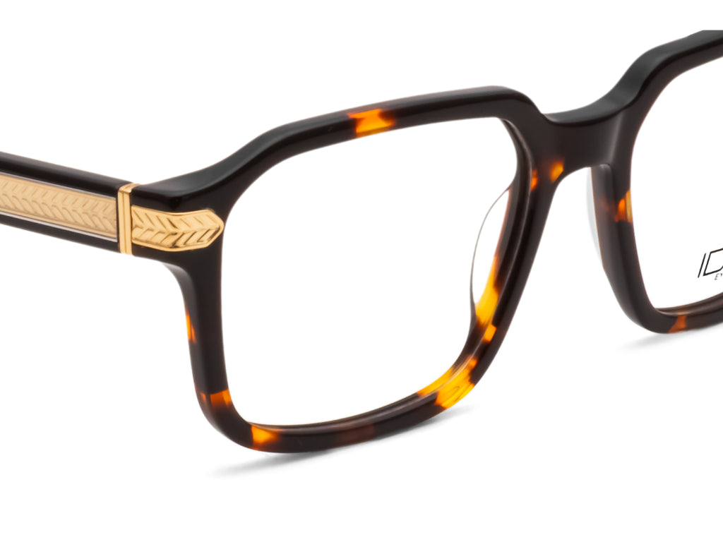 iDEE 2521 C2 54 FRAME