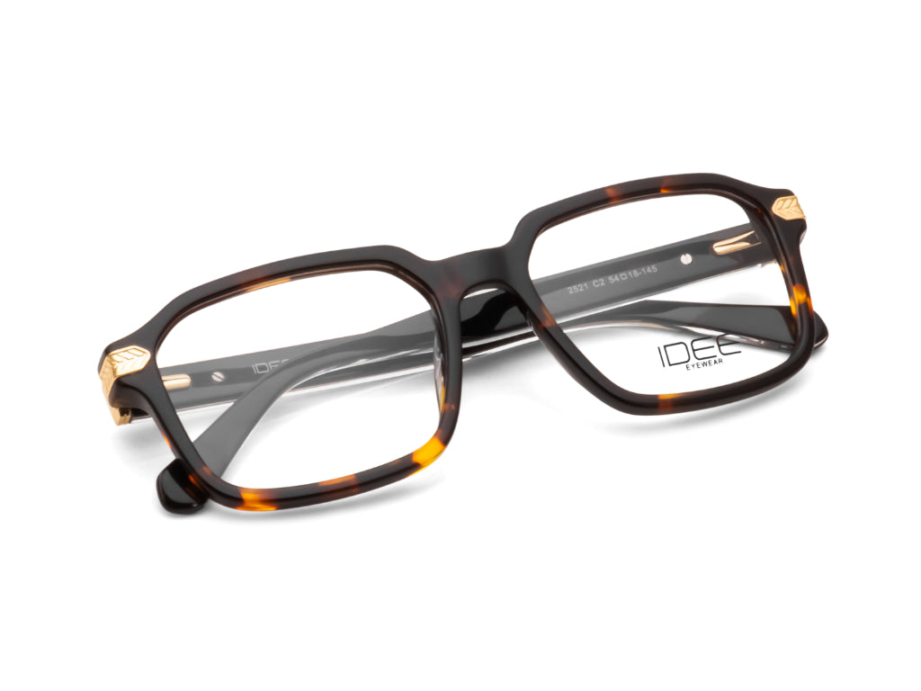 iDEE 2521 C2 54 FRAME