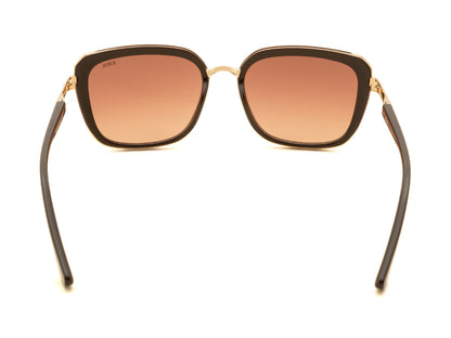 iDEE S3297 C2 55 SUNGLASSES