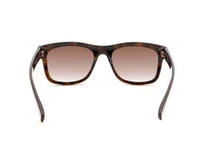 iDEE S3309 C3 53 SUNGLASSES