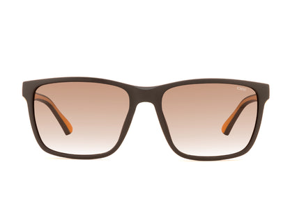 iDEE S3311 C2 57 SUNGLASSES