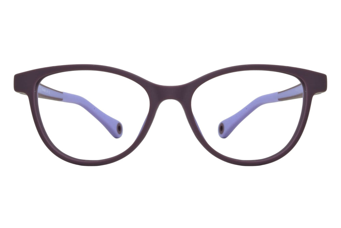 PITT & MITT ACKEI C2 46 FRAME