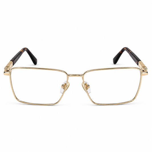 DAVID JONES DJ0596 C3 55 FRAME