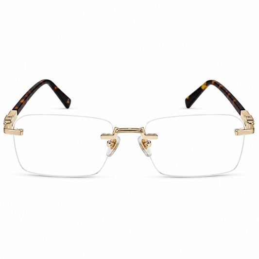DAVID JONES DJ0665 C2 56 FRAME