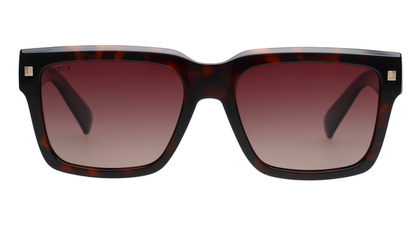 SCOTT SC3101PL C2 55 SUNGLASSES