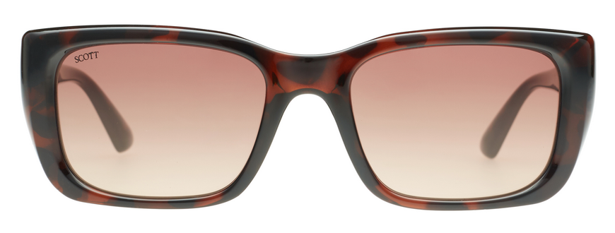SCOTT SC3151 LINDSAY C2 53 SUNGLASSES