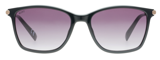 SCOTT SC3182 LVARA C1 54 SUNGLASSES