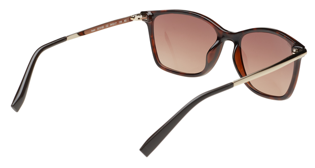 SCOTT SC3182 LVARA C2 54 SUNGLASSES