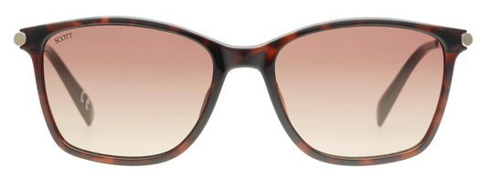 SCOTT SC3182 LVARA C2 54 SUNGLASSES