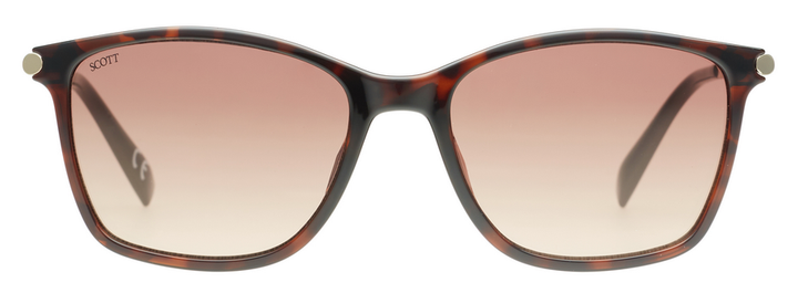 SCOTT SC3182 LVARA C2 54 SUNGLASSES