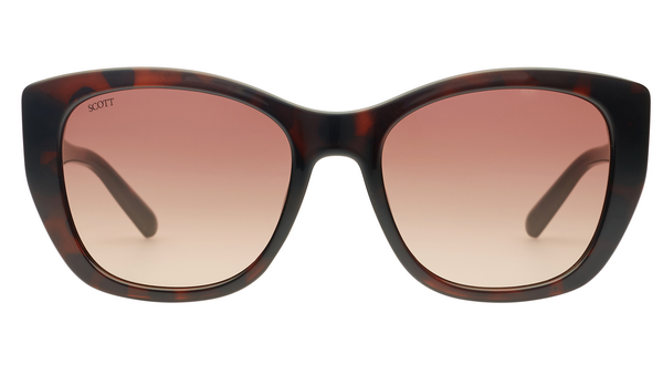 SCOTT SC3183 GRISELDA C2 54 SUNGLASSES