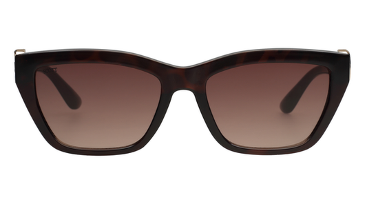 SCOTT SC3229 C2 55 SUNGLASSES